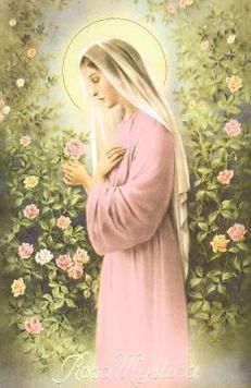 Our Lady Rosa Mystica Our Lady Rosa Mystica